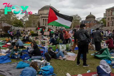 Pro-Palestinian Columbia Student Protests Continue Despite Arrests, Suspensions 