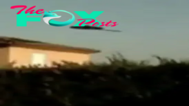 qq The man filmed the video upon witnessing a UFO vanish abruptly after hovering above his house.