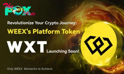 WEEX Exchange Unveils WXT Token to Enhance Ecosystem and Reward Community Engagement 