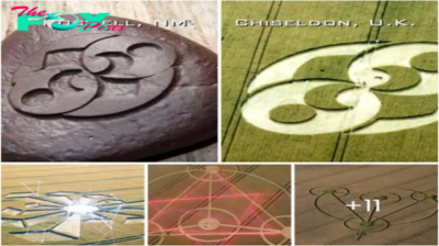 Controversial Fields: Scientific Crop Circle Research Hindered by Association with UFO Conspiracies and Speculation