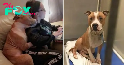 QT Rescued Shelter Dog Exudes Gratitude, Showering New Owner with Affectionate Hugs