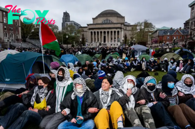 Scenes From Pro-Palestinian Encampments Across U.S. Universities