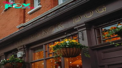 Swifties Flock to The Black Dog, a London pub named in The Tortured Poets Department