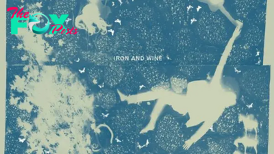 Iron & Wine: Mild Verse Album Evaluation