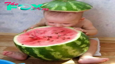 Enjoying the Cutest Combination: Adorable Babies with Watermelons сарtᴜгed in Photos