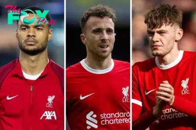 Liverpool team news latest: Cody Gakpo, Diogo Jota and Conor Bradley update