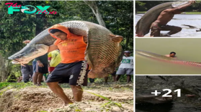 Lamz.Discovering the Arapaima gigas: Exploring the Majesty of One of the World’s Largest Freshwater Giants