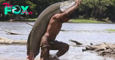 SA. “Meet the Freshwater Giant: Did You Know Arapaima gigas is One of the Largest Fish Species?”.SA