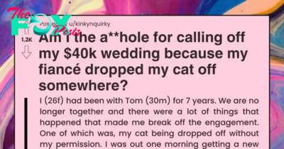 Bride Calls Off My $40K Wedding Because Her Fiancé Dropped Her Cat Off Somewhere