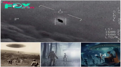 Decoding “Ufo Hot Spots” After More Than 200 Encounters With Flying Object