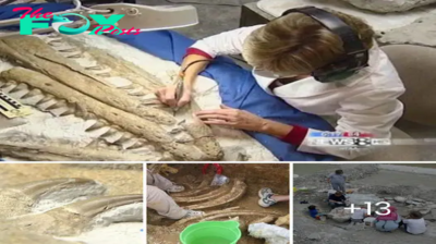 Fossil Hunters Unearth 82-Million-Year-Old Sea Snake, Resembling the Size of a Bus, from the Sands of Time