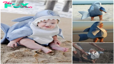 Adorable baby shark: Most popular on social networks right now