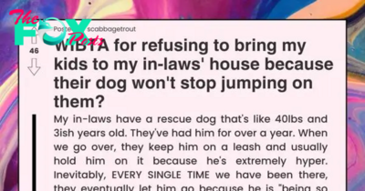Grandmother Refuses To Train Her Energetic 40-Lbs Rescue Dog Who Keep Chasing And Frightening Grandchildren