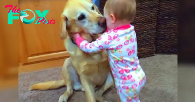 h. “Heartwarming Gesture: Sweet Dog Comforts Tearful Child with Loving Embrace, Demonstrating the Strength of Unconditional Affection”