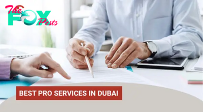 Factors to Consider for Choosing the Right PRO Service Provider for Your Business in Dubai