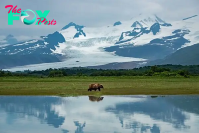 Kodiak Island: Epic Trails, Bears, and Secrets of Alaska’s Emerald Isle
