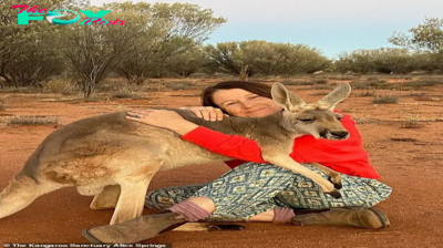 Aww Abigail the Kangaroo: A Heartwarming Tale of 15 Years, Where Love Knows No Bounds as She Embraces Her Rescuers