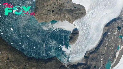 Earth from space: Mysterious wave ripples across 'galaxy' of icebergs in Arctic fjord