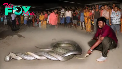 f.The interaction of snakes in the village chief’s house aroused people’s curiosity.f