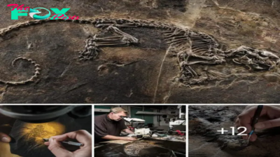 Revealing the Legacy of Ancient Creatures: Unearthing Germany’s 48 Million-Year-Old Fossils from Messel Crater’s Prehistoric Lakes