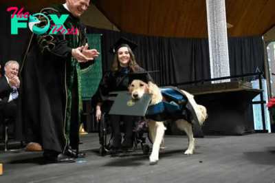 kp6.”The poignant ceremony bestowing an honorary title upon the service dog celebrates his indispensable role in his owner’s life, affirming him as a deserving companion acknowledged for his steadfast dedication and invaluable support.”
