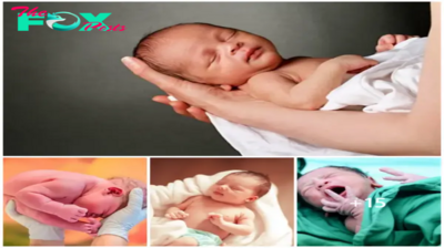 STB “Captivating Hearts Worldwide: The Enchanting Allure of Infants”. STB