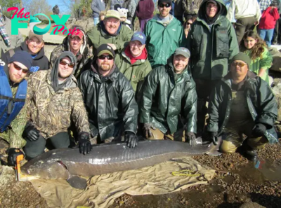 SR “Giant 125-Year-Old Lake Sturgeon, Potentially the Largest Ever Captured in the U.S. and the Oldest Freshwater Fish Recorded Globally” SR