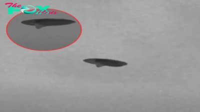 Enigmatic Encounter: Unidentified Disk Captured Soaring Over Sweden on February 5th, 2024