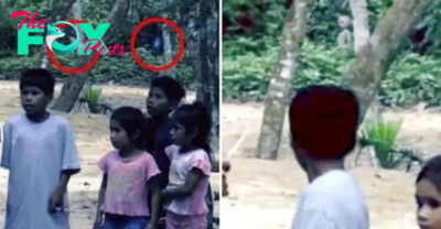 OMG! The Braz-alien rainforest: Is this creature pictured in the Amazon jungle a visitor from outer-space?