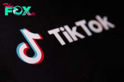 TikTok to label AI-generated content from OpenAI and elsewhere