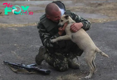 dq In a heartwarming reunion, a loyal dog embraces his retired military officer after ten years apart. The touching video of their emotional embrace stirs the deepest feelings and reminds us of the enduring bond between a dog and its human.