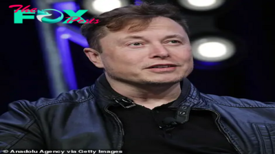 b83.”Inside Elon Musk’s $85M Six-Property Empire in Los Angeles: Tesla CEO Puts Two Homes on Market Amidst Talk of Possession Surrender and New Arrival”