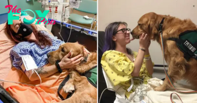 Aww A dog’s enduring devotion helped a human family overcome illness as they banded together to care for their beloved pet.
