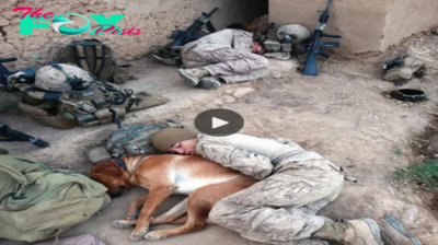 f.A soldier and his pet dog share a tender moment, reflecting an unbreakable bond.f