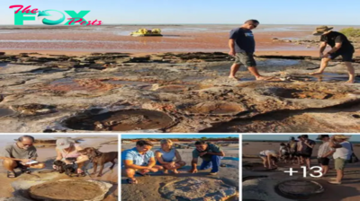 Revealing the Massive Dinosaur Footprint: Australia’s Astonishing Find