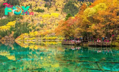 Uncover the Mystical Colors of Jiuzhaigou National Park
