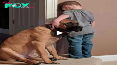 “Loyal Companion: Dog Comforts 3-Year-Old During Timeout, Melts Hearts on Social Media” -zedd