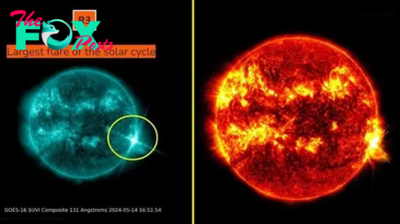Sun launches strongest solar flare of current cycle in monster X8.7-class eruption