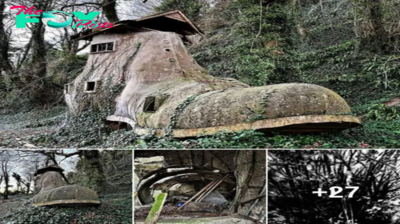Archaeologists are concerned after discovering a mystery giant shoe house in the English woods with an old woman
