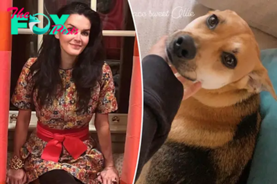 Angie Harmon sues Instacart and driver she claims fatally shot her dog