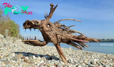 nht.”Seaside Treasures: Stunning Wood Sculptures Born from Beach Finds”