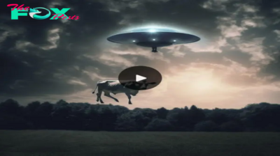 Exploring the Mystery of UFOs Associated with Cattle Disappearances in South America: Are They Abducting Cattle for Study?
