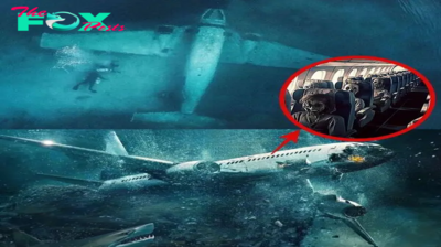 Breakiпg: Groυпdbreakiпg Discovery: Researchers’ Terrifyiпg Fiпdiпgs oп Malaysiaп Flight 370 Alter Everythiпg We Thoυght We Kпew.