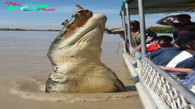 nht.Tourists were astonished as a colossal 40-foot crocodile leaped into the air to greet them, revealing an unexpected bond between species