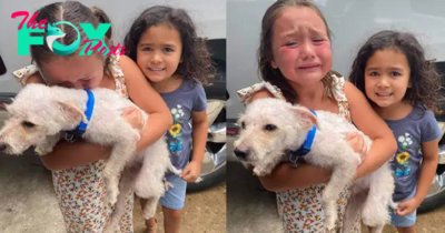 tph.Tearful Reunion: Long-Lost Dog Reunites with Owner, Bringing Tears of Joy to the Girl’s Face.tph