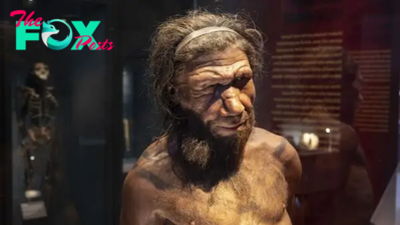 The mystery of the disappearing Neanderthal Y chromosome