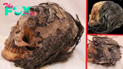 nht.A 3,300-Year-Old Hairstyle Preserved on an Ancient Egyptian Head