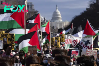 Thousands Expected to Rally on Washington’s National Mall in Pro-Palestinian Demonstration