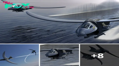 Lamz.Crafted by Steve Wheeler, the Hawk Fighter Aircraft is a True Masterpiece of Aviation