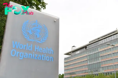 STIs Are Increasing in Many Regions, New WHO Report Finds